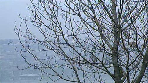 Oturak İmparatoru Recep Bild 3