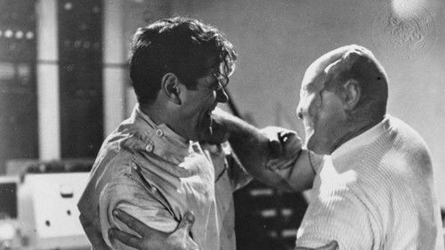 Der Fluch der Fliege Bild 6