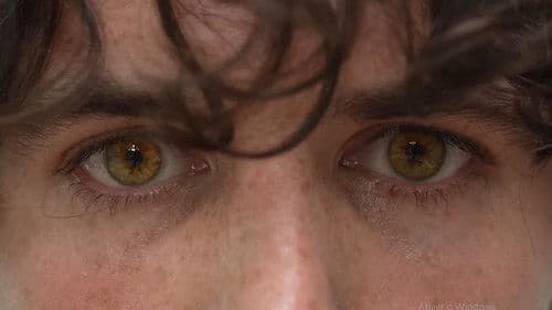 Strange Man Caught on Doorbell Bild 3