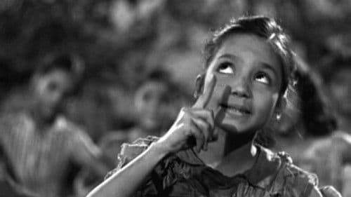 बूट पॉलिश Bild 1