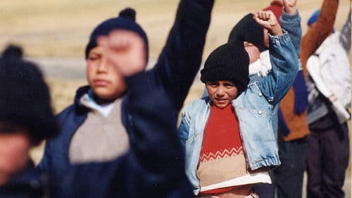 Paloma de papel Bild 4