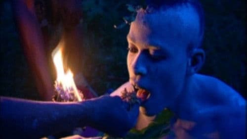 L'Iboga: Les Hommes du bois sacré Bild 1