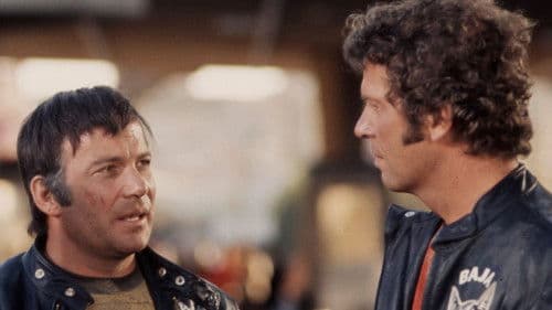 Pray for the Wildcats Bild 5