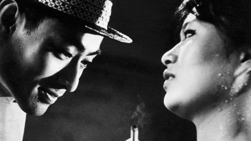 太陽の墓場 Bild 1