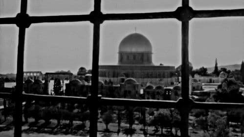 القدس زهرة المدائن Bild 1