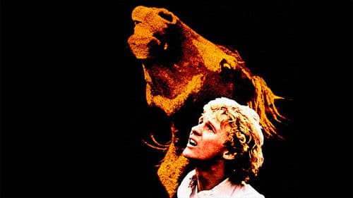 Equus - Blinde Pferde Bild 2