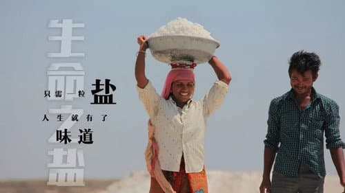 生命之盐 Bild 1