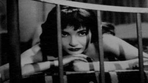 حب من نار Bild 1