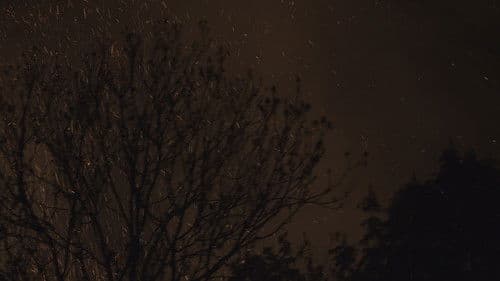 Fight for Freedom - Der blutige Pfad der Freiheit Bild 2