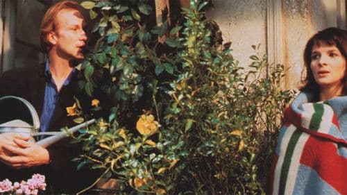 Eine Couch in New York Bild 3