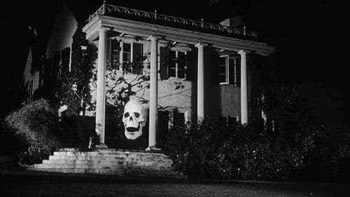 Das Geheimnis des schreienden Schädels Bild 3