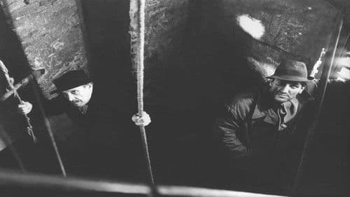 Dvostruki obruč Bild 1