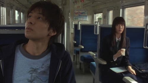 ハナミズキ Bild 2