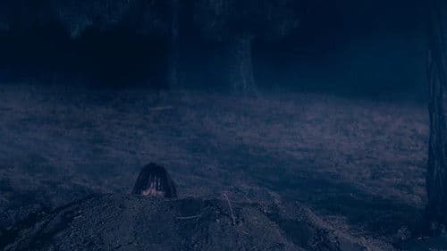 The Gladiolus, Ild Tsetseg Bild 3