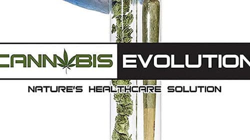 Cannabis Evolution Bild 1