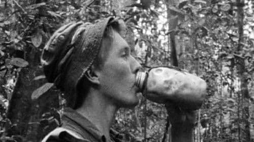 Jungle Green: Borneo Bild 1