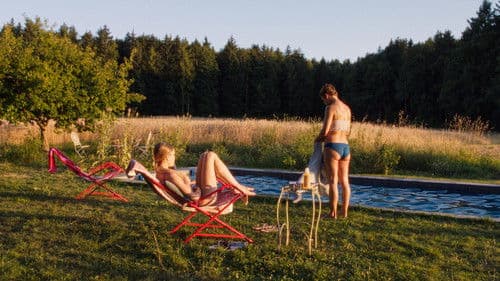 Der Spatz im Kamin Bild 3