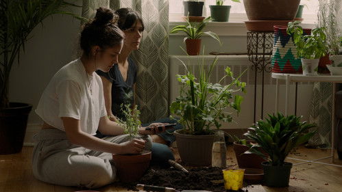 So Much Tenderness Bild 1