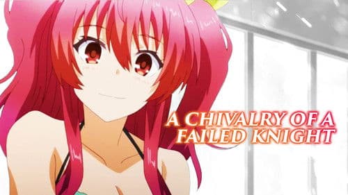 A Chivalry of a Failed Knight Bild 8