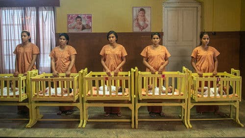 Vihanga Premaya Bild 7