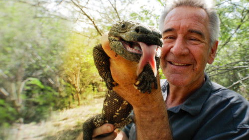 Wildes Mittelamerika Bild 2