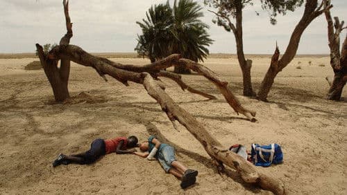 Il sole dentro Bild 1