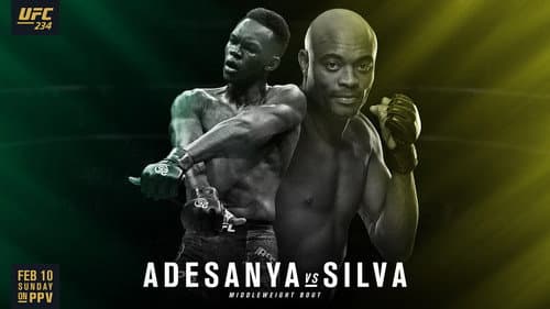 UFC 234: Adesanya vs. Silva Bild 1