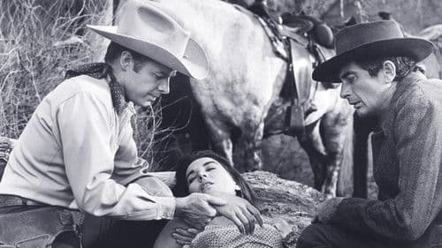 Die gnadenlosen Vier Bild 1