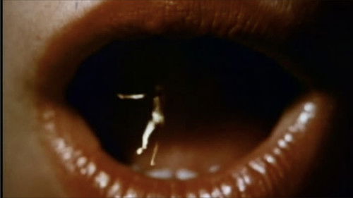 Alice in Acidland Bild 4