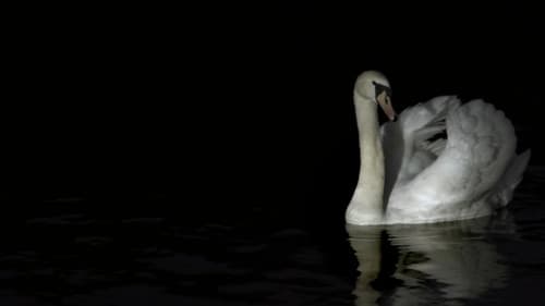 L'appel Du Vide Bild 1