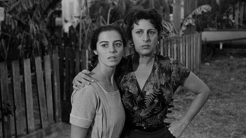 Die tätowierte Rose Bild 2