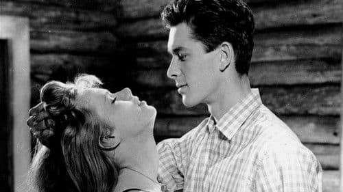 Die jungen Sünder Bild 1