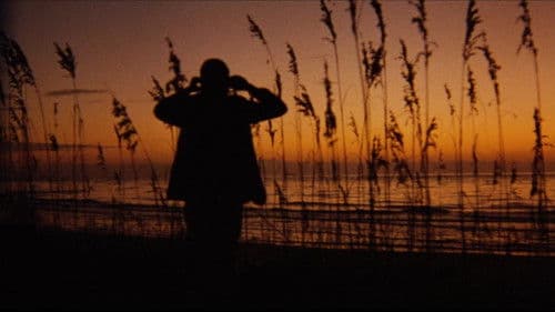 Daughters of the Dust Bild 3