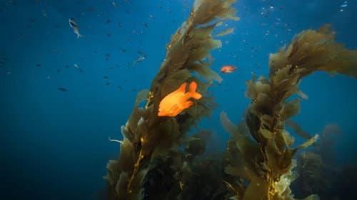 Die Karte zum Paradies Bild 7