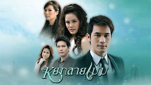 หยกลายเมฆ Bild 1