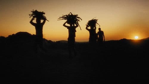 Variasies op 'n tema Bild 3