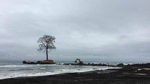 Die Zähmung der Bäume Bild 7