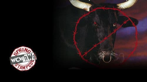 WCW Spring Stampede 1998 Bild 2