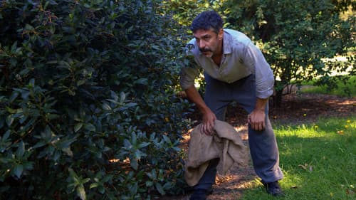 No te olvides de mí Bild 6