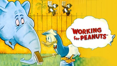 Alles für die Nuss Bild 2