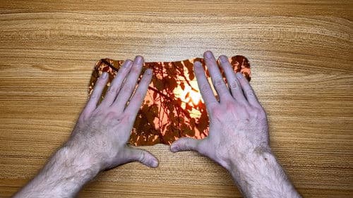 The World in Our Hands Bild 7