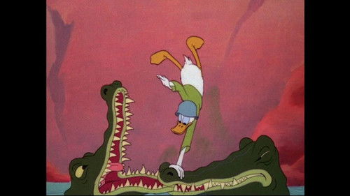 Commando Duck Bild 1