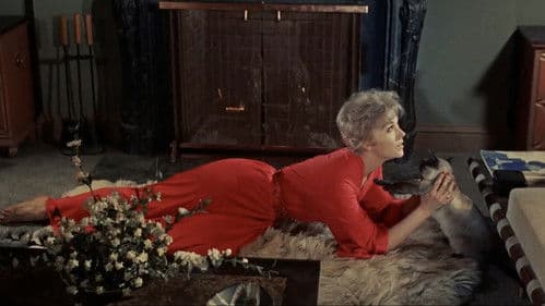 Meine Braut ist übersinnlich Bild 6