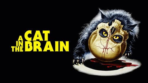 Nightmare Concert Bild 5