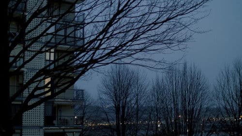 Puzzleak. Bortxaketaren jauregia Bild 3