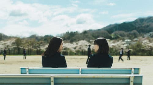 少女は卒業しない Bild 5