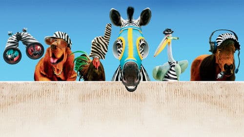 Im Rennstall ist das Zebra los Bild 5