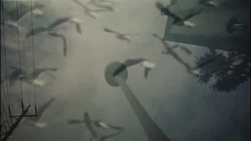 高級ソープテクニック４　悶絶秘戯 Bild 7