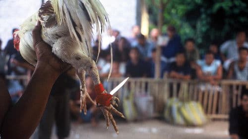 The Beast Within Bild 2