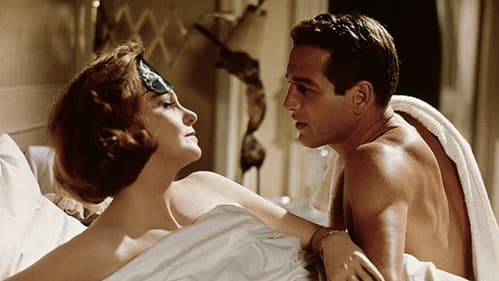 Süßer Vogel Jugend Bild 1